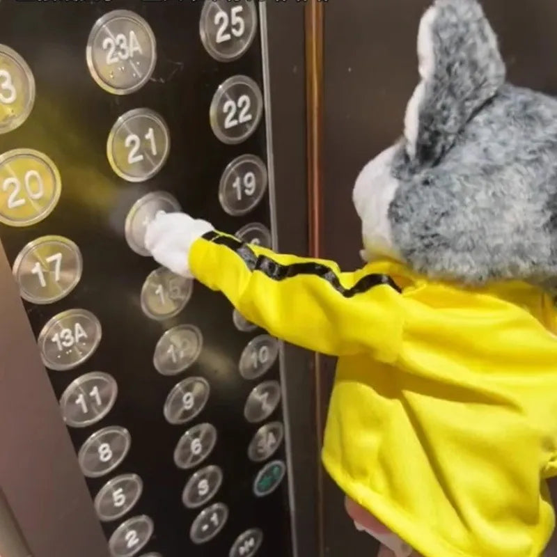 Meet the Dog That Fights Back